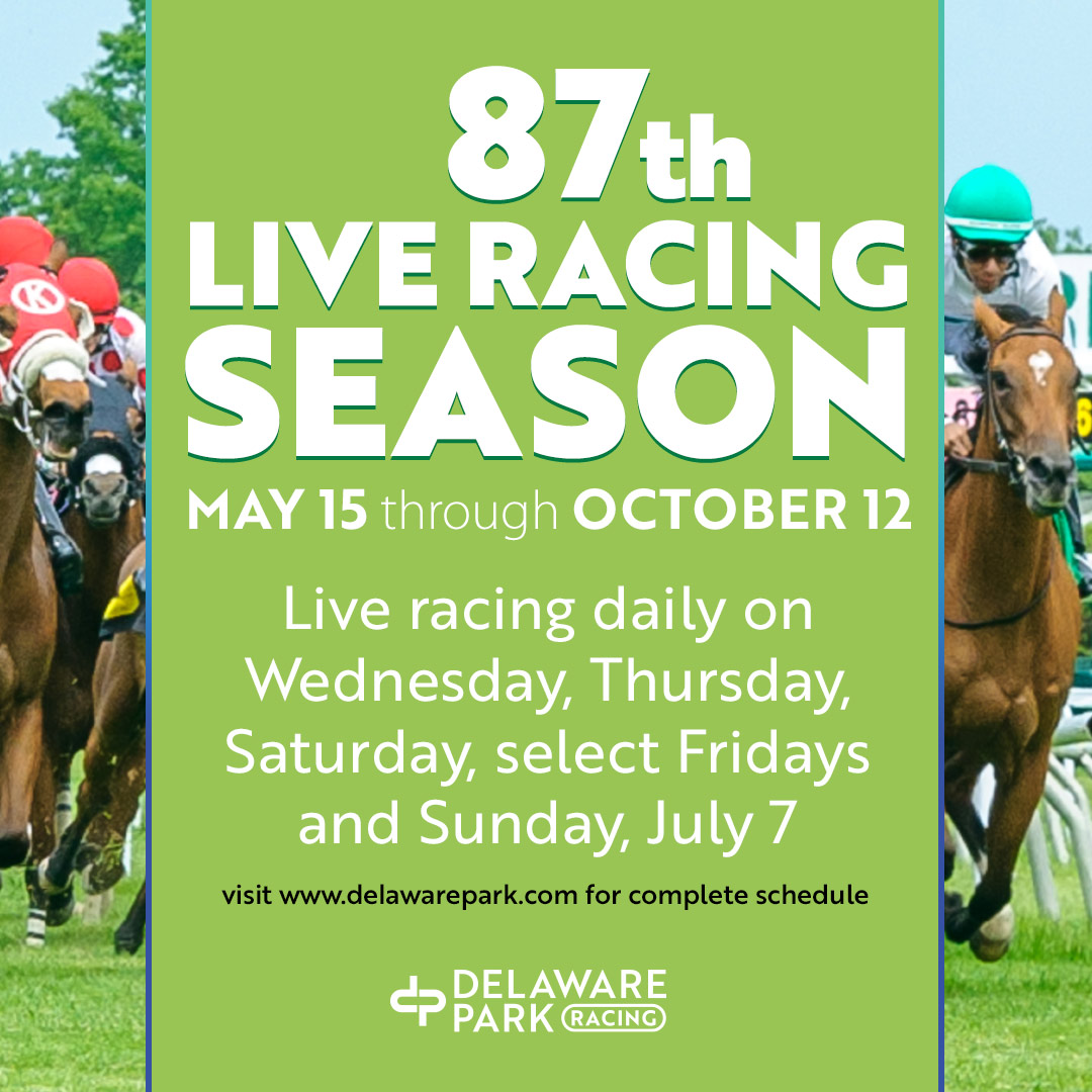 Get ready to saddle up, horse racing season starts on May 15th! Experience the adrenaline rush of the track😄🐴