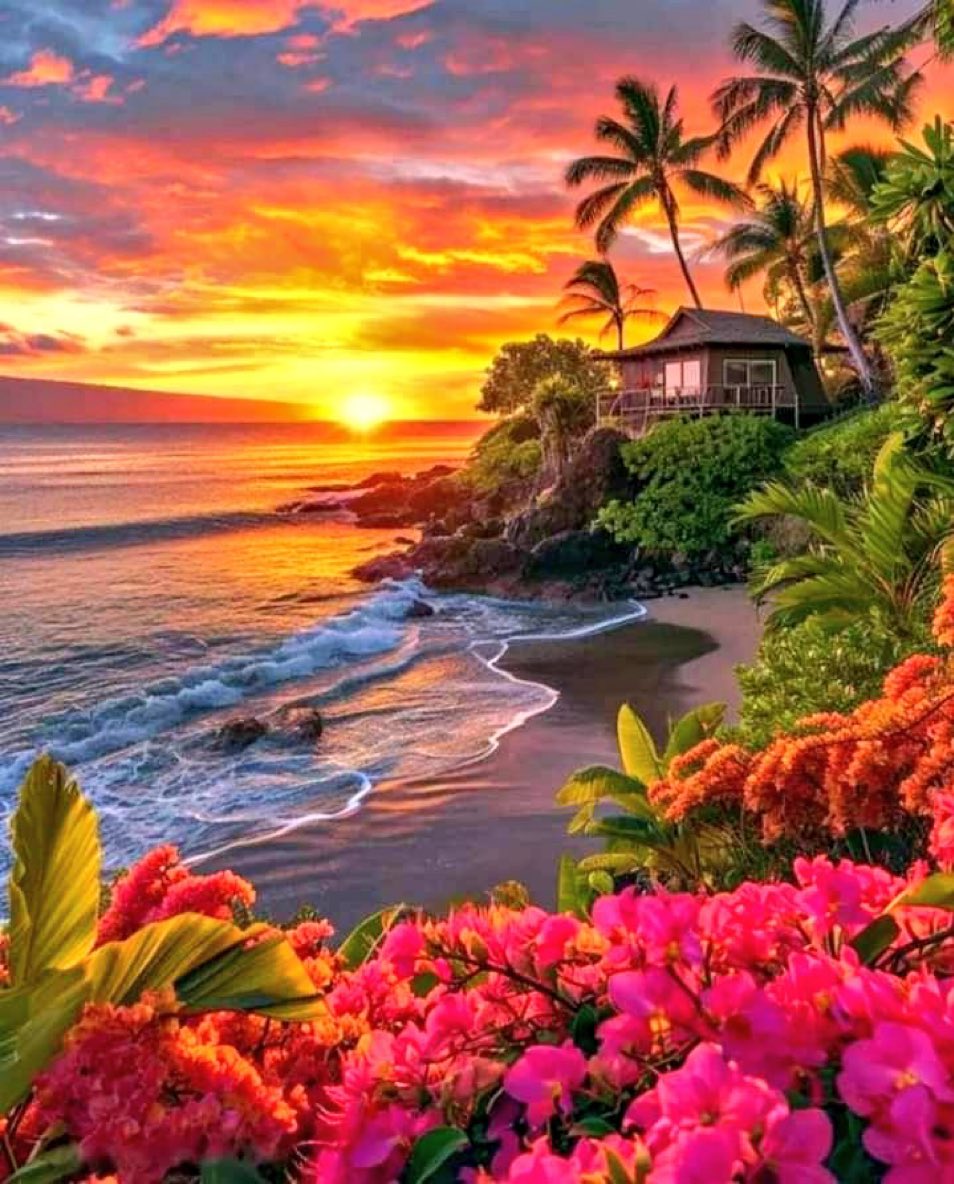 Beautiful sunset 🌴