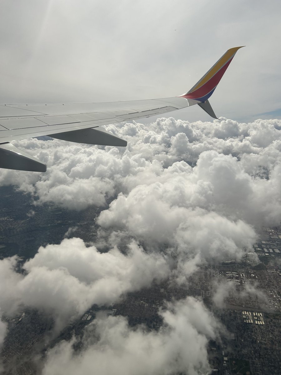 cream_rl's tweet image. #CECCTexas2024 🫡