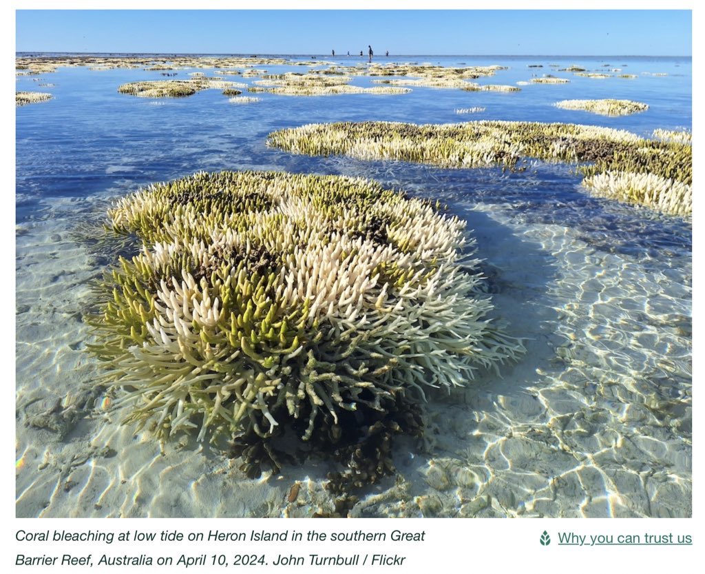 No, killing some starfish does not stop global temperatures from rising.