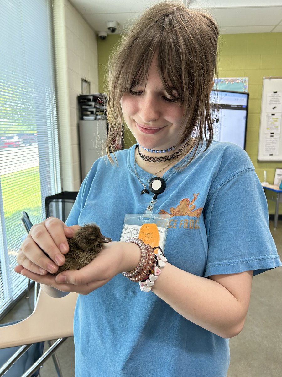 After 28 days of incubation, study and observations, our ducklings have hatched!! CRCS is very proud to introduce Bartholomew and Chloe! #loveservecare #alwaysgoodthingshappeningatcrcs @ACSchoolsTN @nate_stecker