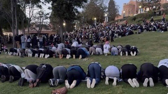 Good luck to the future historians studying why a bunch of purple-haired non-binary atheists are bowing to Allah at UCLA.