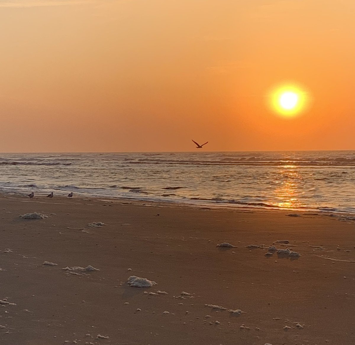 Prachtige avond! ❤️ #Terschelling #Skylge