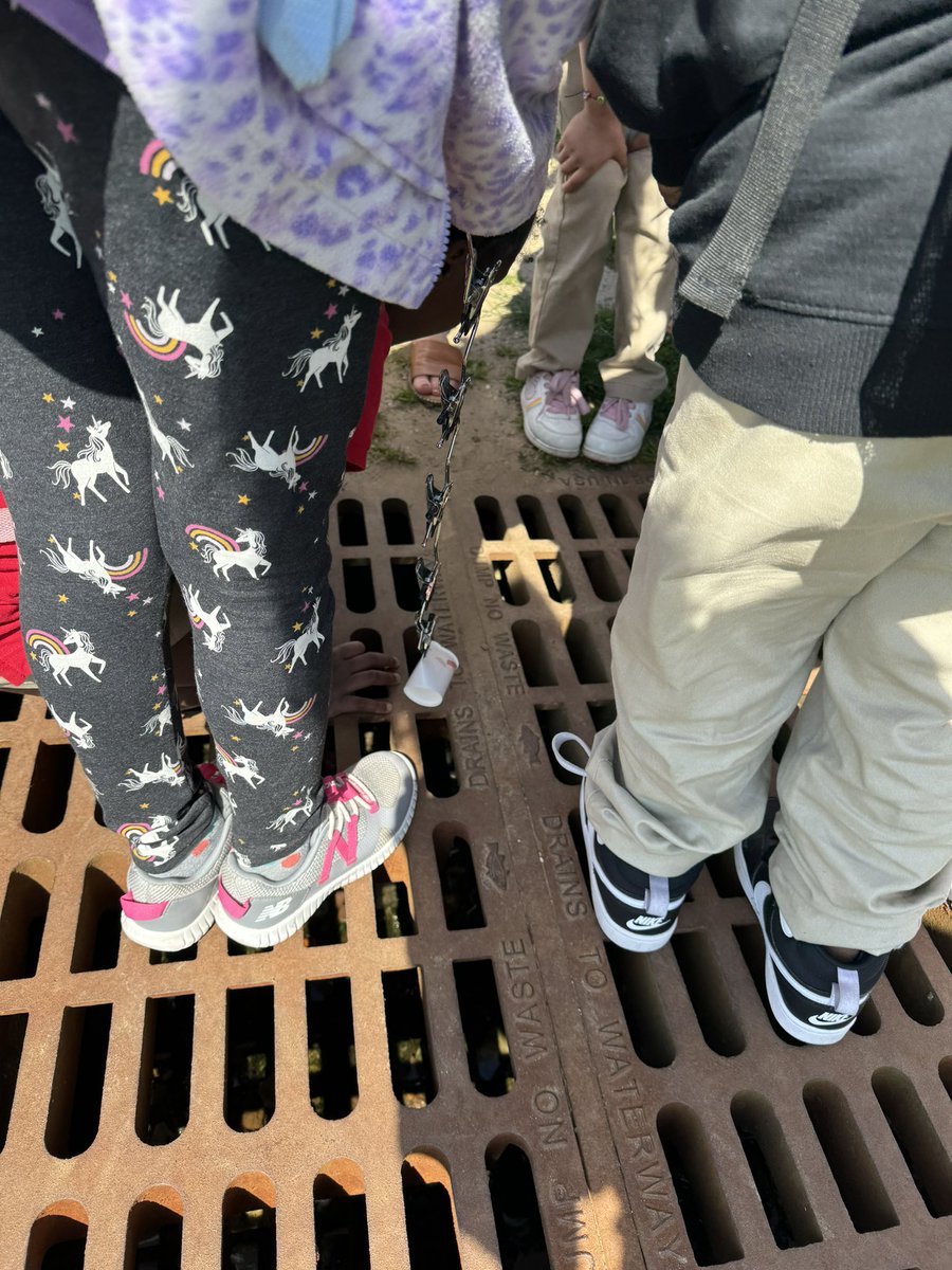 Aria Slipek (@mrsslipek_rbps) on Twitter photo Yesterday we found a baby turtle trapped in the drain outside of the primary school. Today this student brought in her very own invention to rescue the turtle. Mission complete βοΈ ππ» π’ Have the best life ever Chippy! <a href="/RedBankSup/">Dr. Jared Rumage</a> <a href="/rbpsEAGLES/">Red Bank Primary</a> <a href="/Mrs_Ricca/">Mrs. Ricca</a> ππ #RBBisBIA Yesterday we found a baby turtle trapped in the drain outside of the primary school. Today this student brought in her very own invention to rescue the turtle. Mission complete βοΈ ππ» π’ Have the best life ever Chippy! <a href="/RedBankSup/">Dr. Jared Rumage</a> <a href="/rbpsEAGLES/">Red Bank Primary</a> <a href="/Mrs_Ricca/">Mrs. Ricca</a> ππ #RBBisBIA