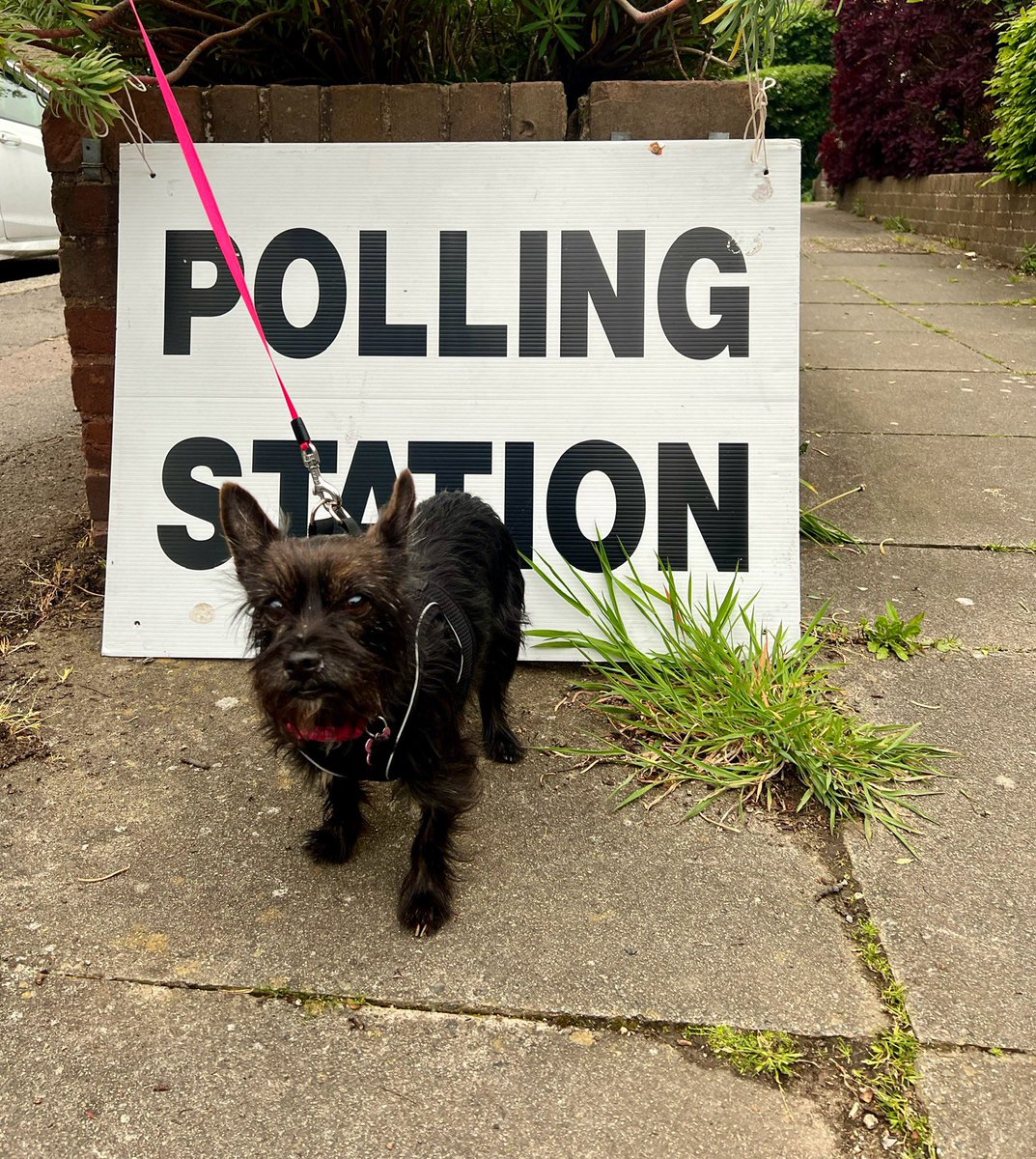 A little earlier this evening… #DogsAtPollingStations