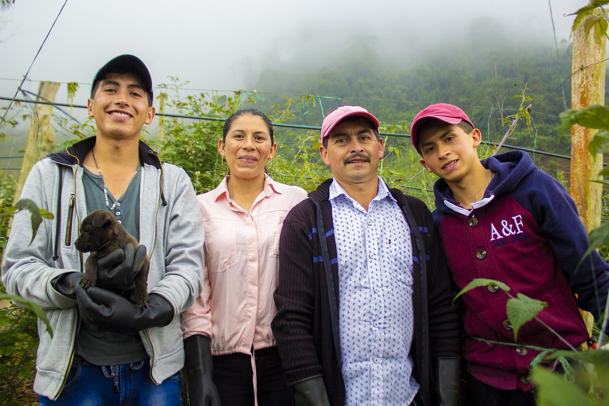 Ellos son los Soler, una familia productora de mora que ha logrado superar las adversidades de la vida gracias a la unión y al amor por el campo. Conócelos en este episodio de #CosechaDeLogros, la serie web de @ProcultivosANDI👉 bit.ly/3qAfKMe #MásPaísANDI