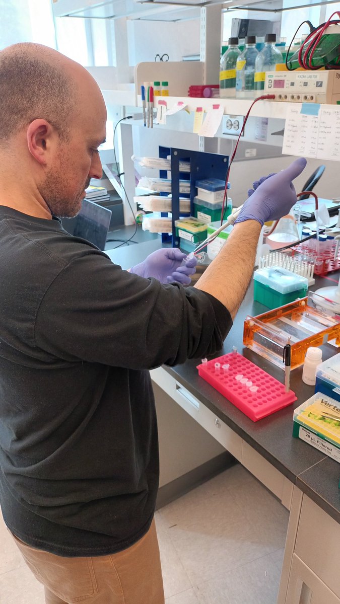 Jakub Bunk (@bunkjakub) on Twitter photo Congratulations on your tenure Lawrence! Now relax with some bench work :)
Let us know how it went!
<a href="/kazaklab/">Lawrence Kazak</a> <a href="/McGillGCI/">Rosalind & Morris Goodman Cancer Institute</a> Congratulations on your tenure Lawrence! Now relax with some bench work :)
Let us know how it went!
<a href="/kazaklab/">Lawrence Kazak</a> <a href="/McGillGCI/">Rosalind & Morris Goodman Cancer Institute</a>