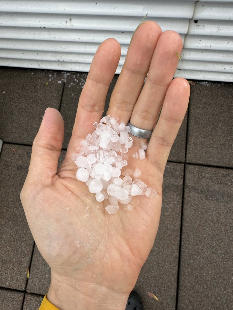 Pea+ sized hail in Pilsen  #ILwx #ChicagoWx
