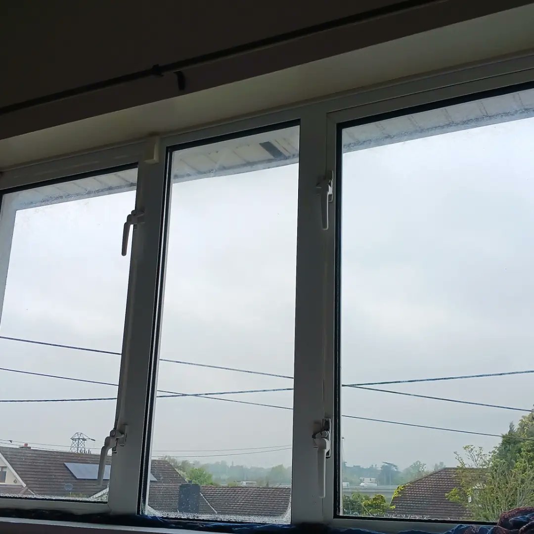 Dr Tapasya Narang tweet media