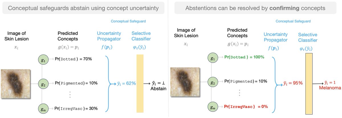 Hailey Joren tweet media