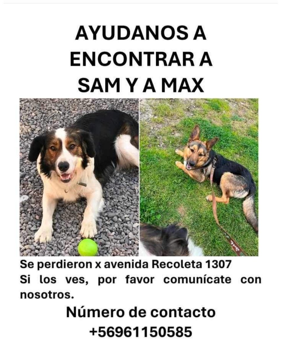 callejeritosDLV's tweet photo. #extraviadosensantiago #recoleta #independencia #cementeriogeneeral https://t.co/wLxwzy1VHs