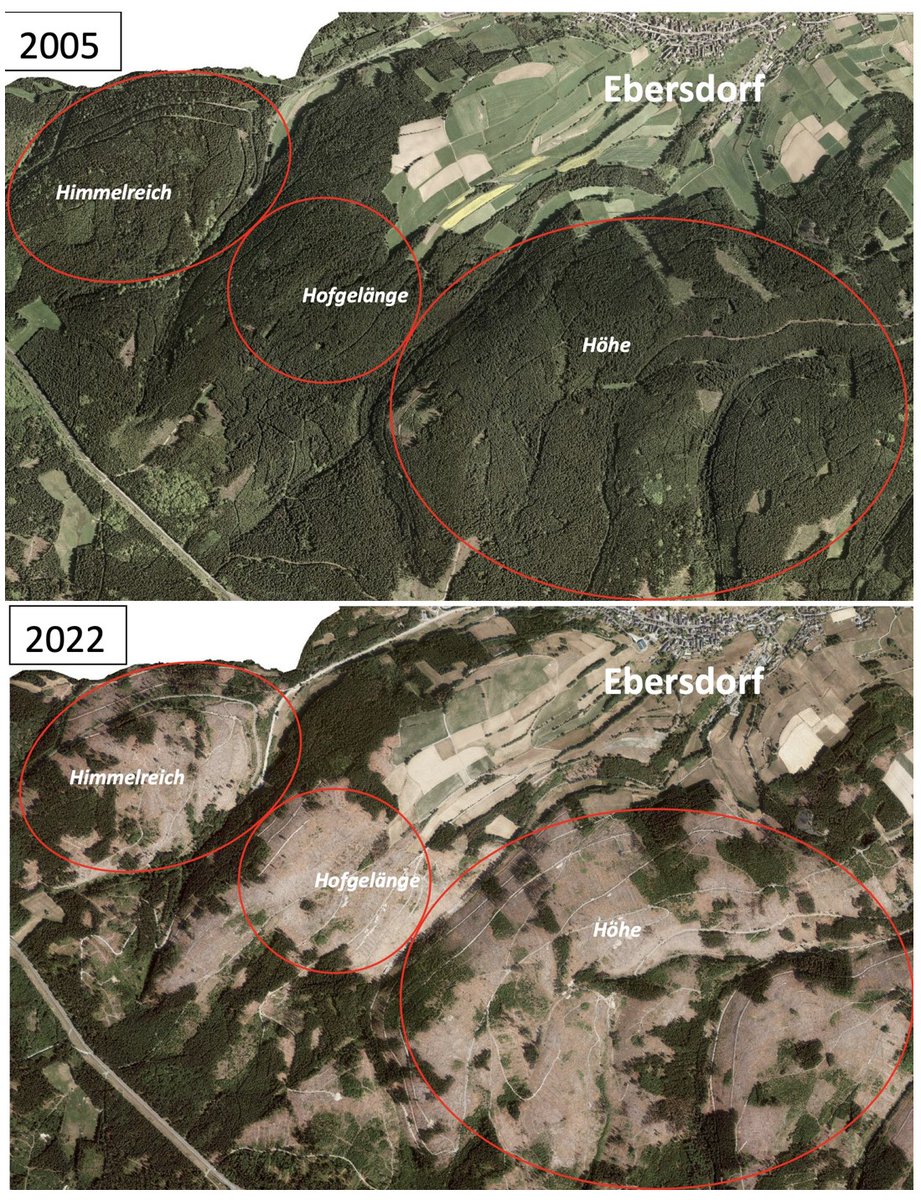 <a href="/BayStMWi/">Bayerisches Wirtschaftsministerium</a> <a href="/HubertAiwanger/">Hubert Aiwanger</a> <a href="/ziegler_bwbv/">Josef Ziegler</a> <a href="/BayernsBauern/">Bauernverband Bayern</a> @BayerischerGem1 Das sind die #Folgen der Politik von #HubertAiwanger: 

Der bayrische Wald wird abgeholzt und verfeuert.