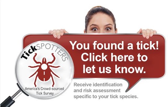 Found a tick and wonder what species it is? Here are2 great options to have that little bugger ID'd. Submit it to our lab experts. Call 330.438.4671. Submit a photo to TickSpotters at: web.uri.edu/tickencounter/… #cantonhealth #ticks