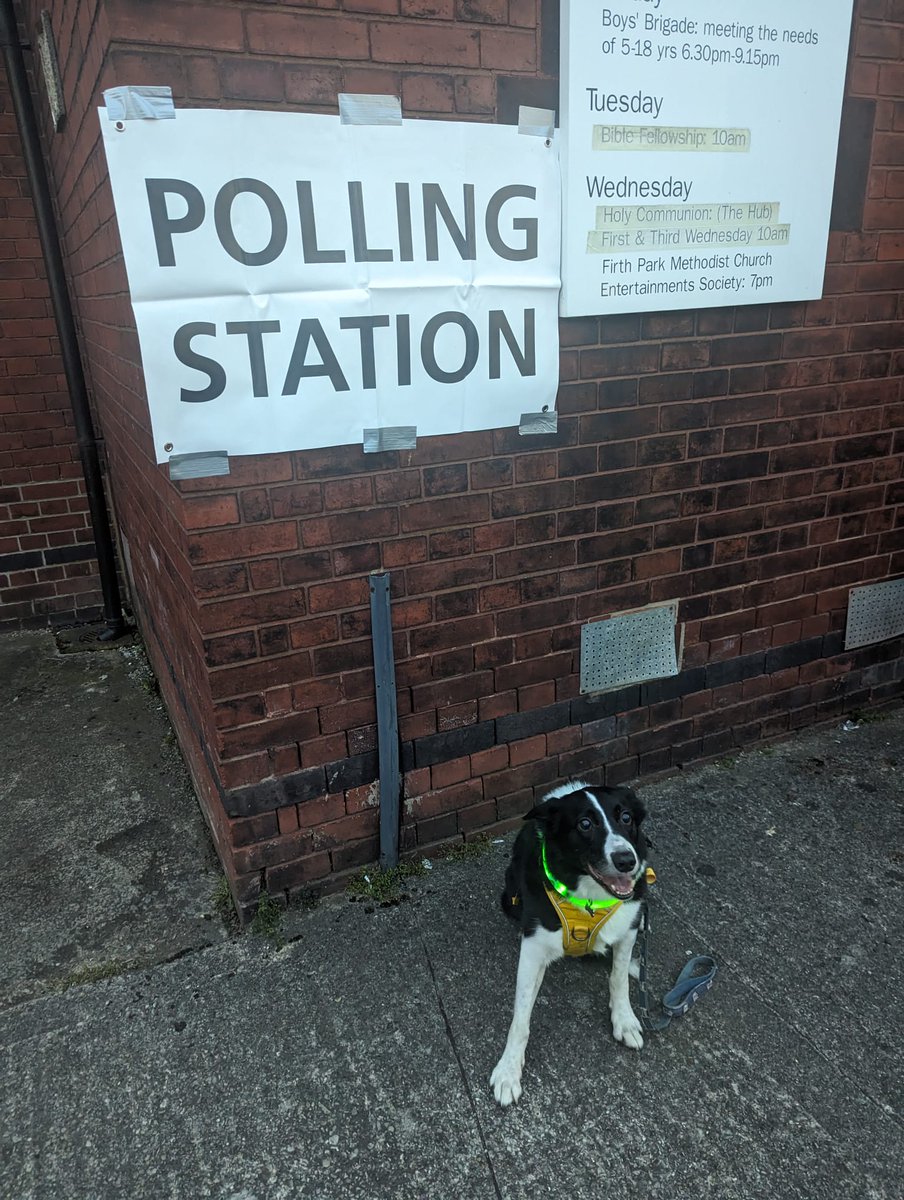 #Dogsatpollingstations
#Election2024 
#LocalElections2024 

Pogdog telling the Tories to fuck off. What a clever boy!
Pic by @lxg97