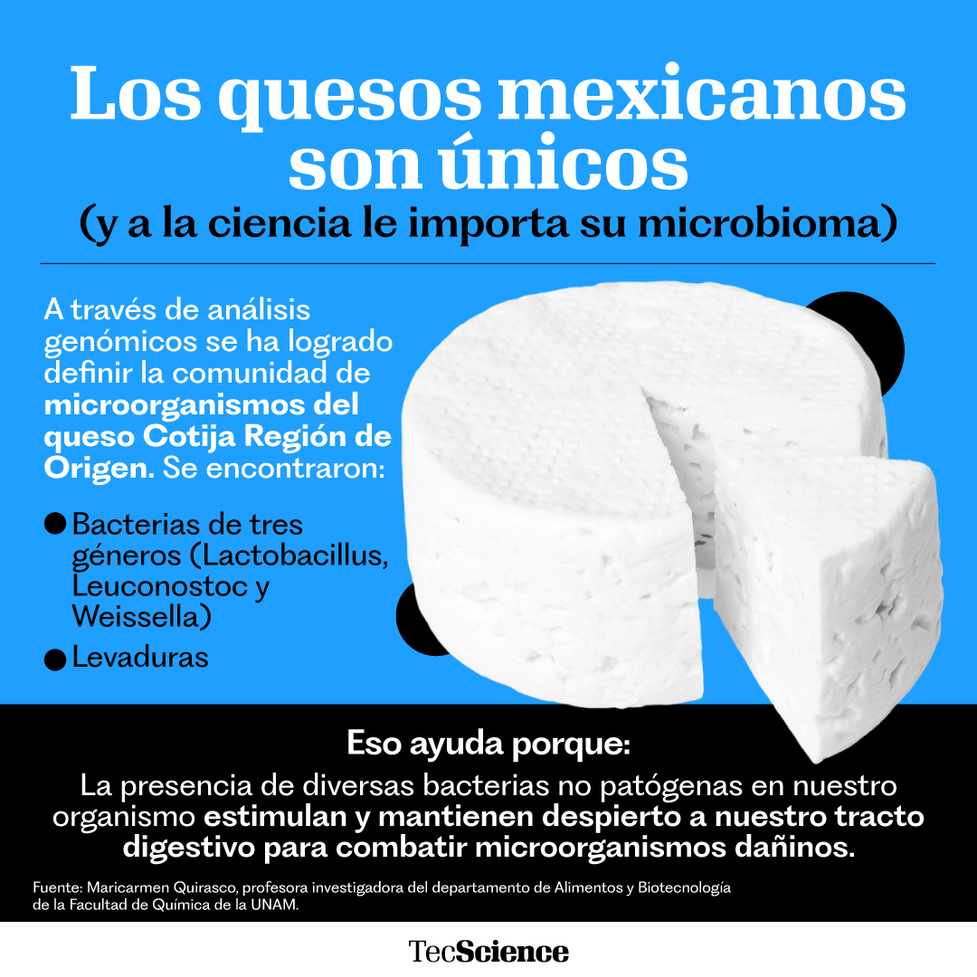 🧫 ¿Sabías que cada queso tiene su propia comunidad de microorganismos? Maricarmen Quirasco, investigadora de la UNAM, nos revela los secretos detrás del sabor de dos quesos mexicanos y qué los hace seguros para el consumo humano. 😋 bit.ly/3wgXlv6