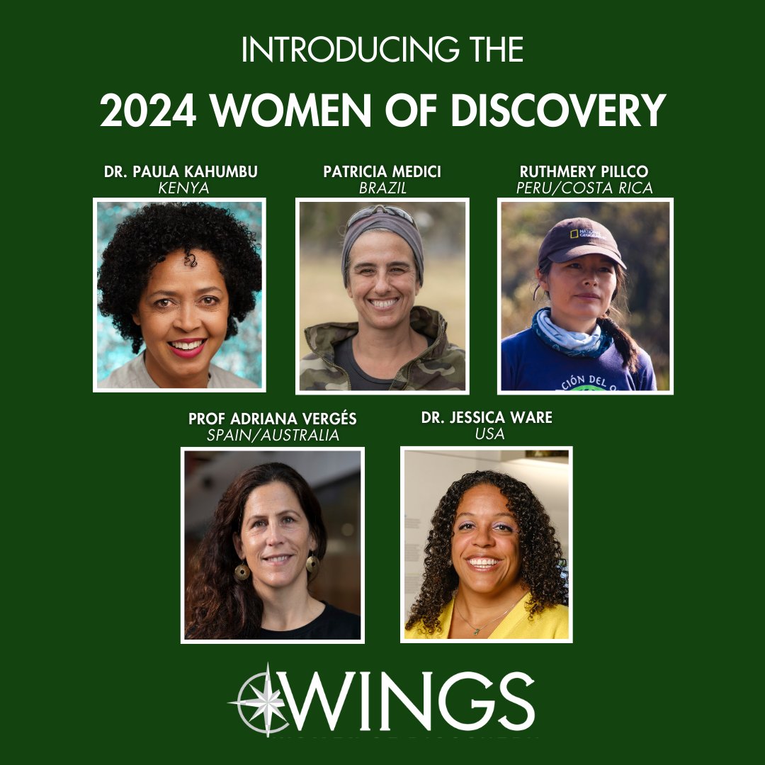 Thrilled to announce that Prof. Adriana Vergés has won a WINGS 'Women of Discovery Award'! 

Leading SIMS's Operation Crayweed & Posidonia, and co-leading Project Restore, she's spearheading efforts in marine restoration. We thank her for her exemplary contributions & mentorship.