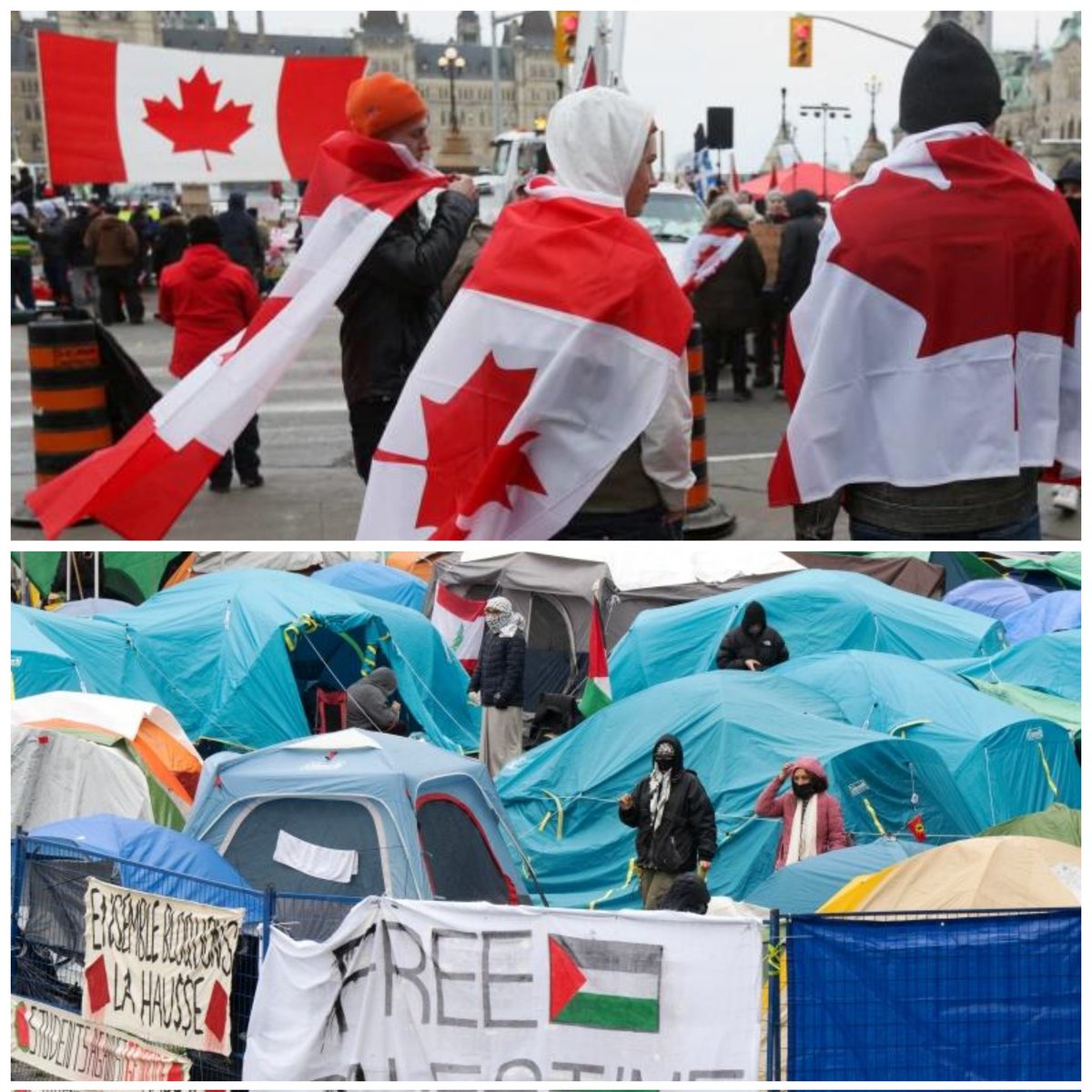 Covering the McGill University PALESTINE camp today was extremely depressing

I saw TRANS flags, Palestine flags, Communist flags

But there was ZERO Canadian flags

It's days like today that make me miss the freedom convoy. The most patriotic protest ever. The real Canada