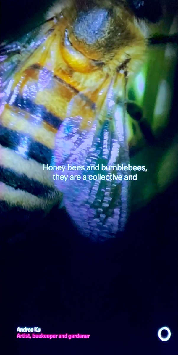 Thanks to @NML_Muse for inviting me to their 🐝PV this evening 🙏 It was a pleasure to play a small part in the show talking about the importance of solitary & bumble bees esp as honeybees get all the press. To find out more: lnkd.in/eAUQFhub Show opens Sat 4th May 🐝