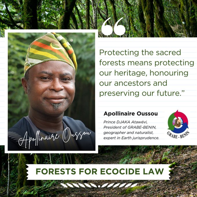 🌳 Making #ecocide an international crime can provide a vital framework to protect forest ecosystems from the worst harms.

Find out more about the new Forests for #EcocideLaw Network, our amazing global partners + how YOU can get involved: stopecocide.earth/forests

#StopEcocide