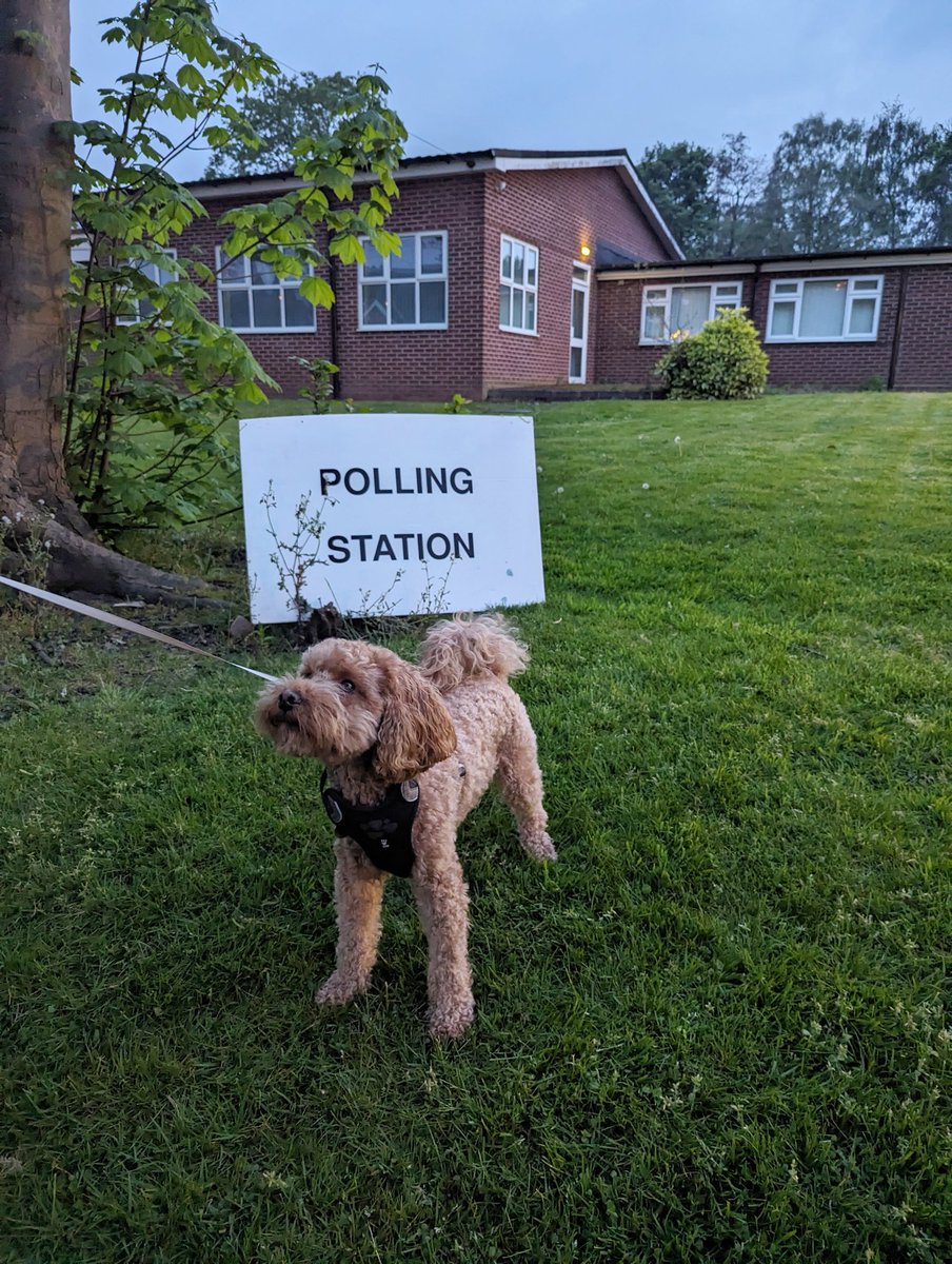 You've still got 40 minutes to vote!

#dogsatpollingstations #Election2024 #vote