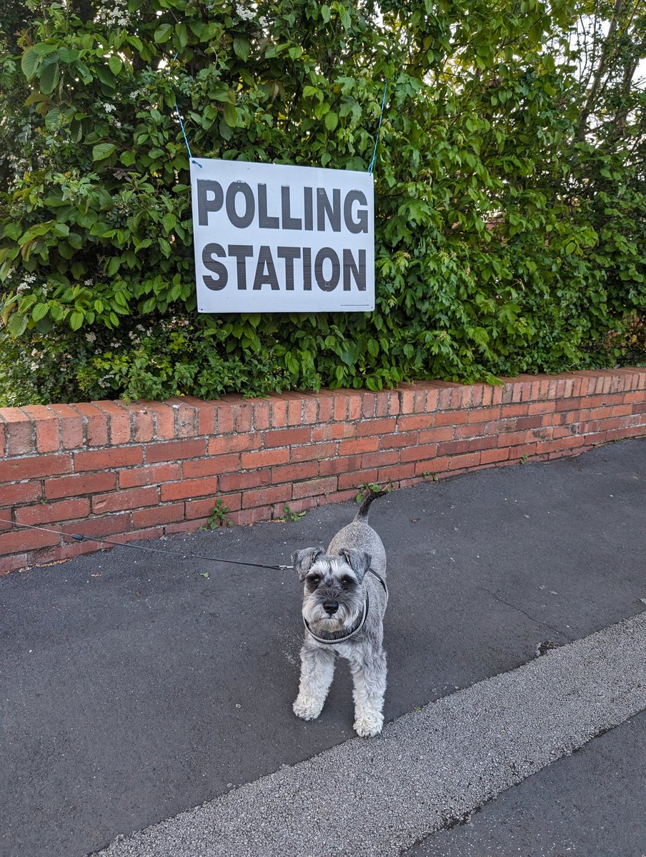 Got our vote in! 🗳️☑️ #DogsAtPollingStations