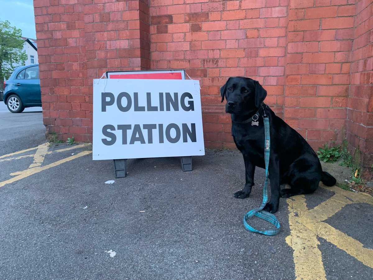 ‘Exercising’ his democratic right #dogsatpollingstations @TraffordCouncil