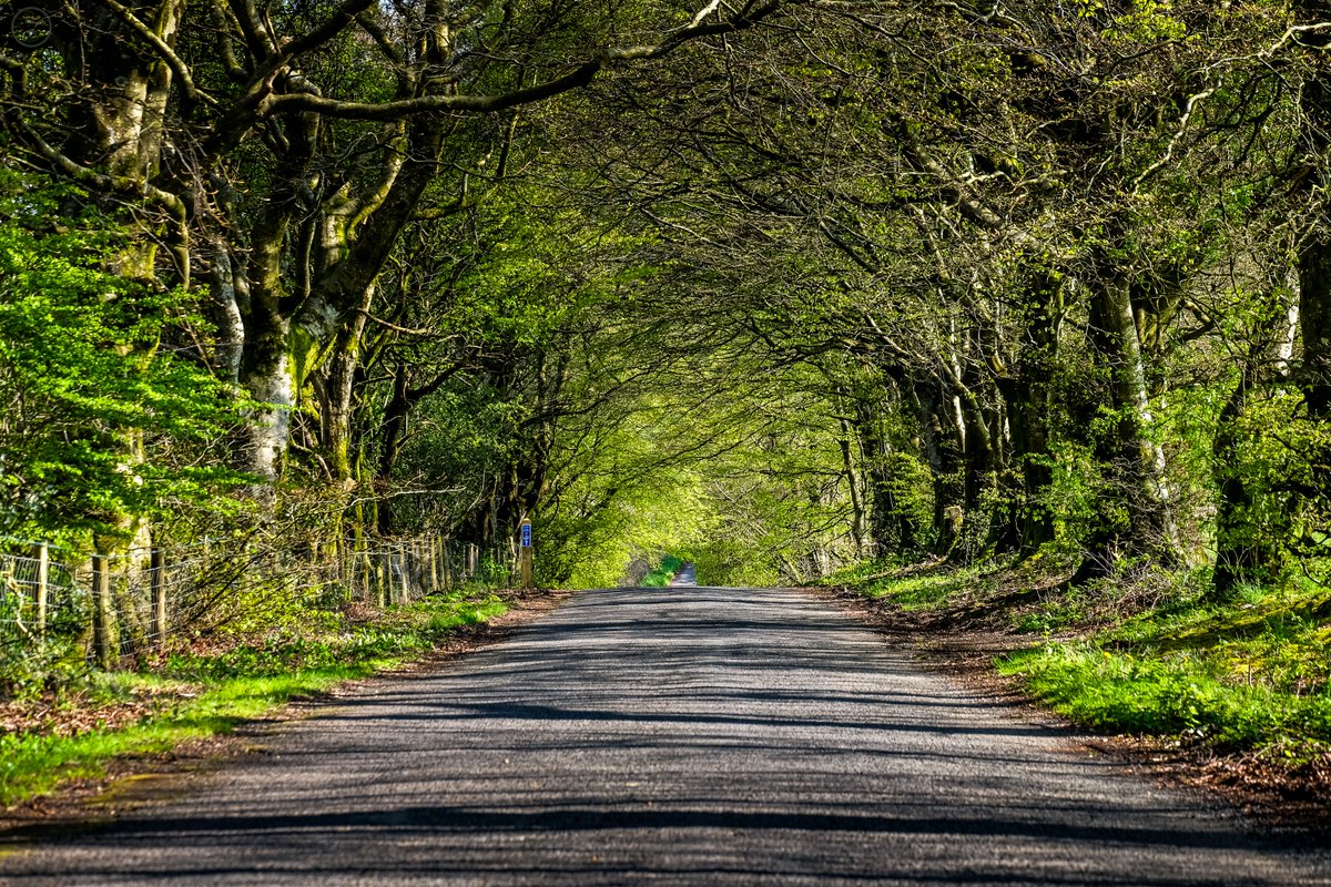 Country Road Take Me Home...

#woodland #mountains #lakedistrict #trees #landscapephotography #forestry #road #farmland #countryside #countryroad #mountains #photography #photographer