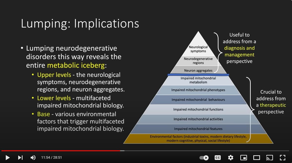 May is Mental Health Awareness Month. It's also ALS and Huntington's Disease Awareness Month. In that spirit, here's a link to @drmclphillips 's talk, 'Neurodegenerative Disorders as Metabolic Icebergs' at Low Carb Down Under 2023 youtube.com/watch?v=5MM62k…
#metabolicpsychiatry…