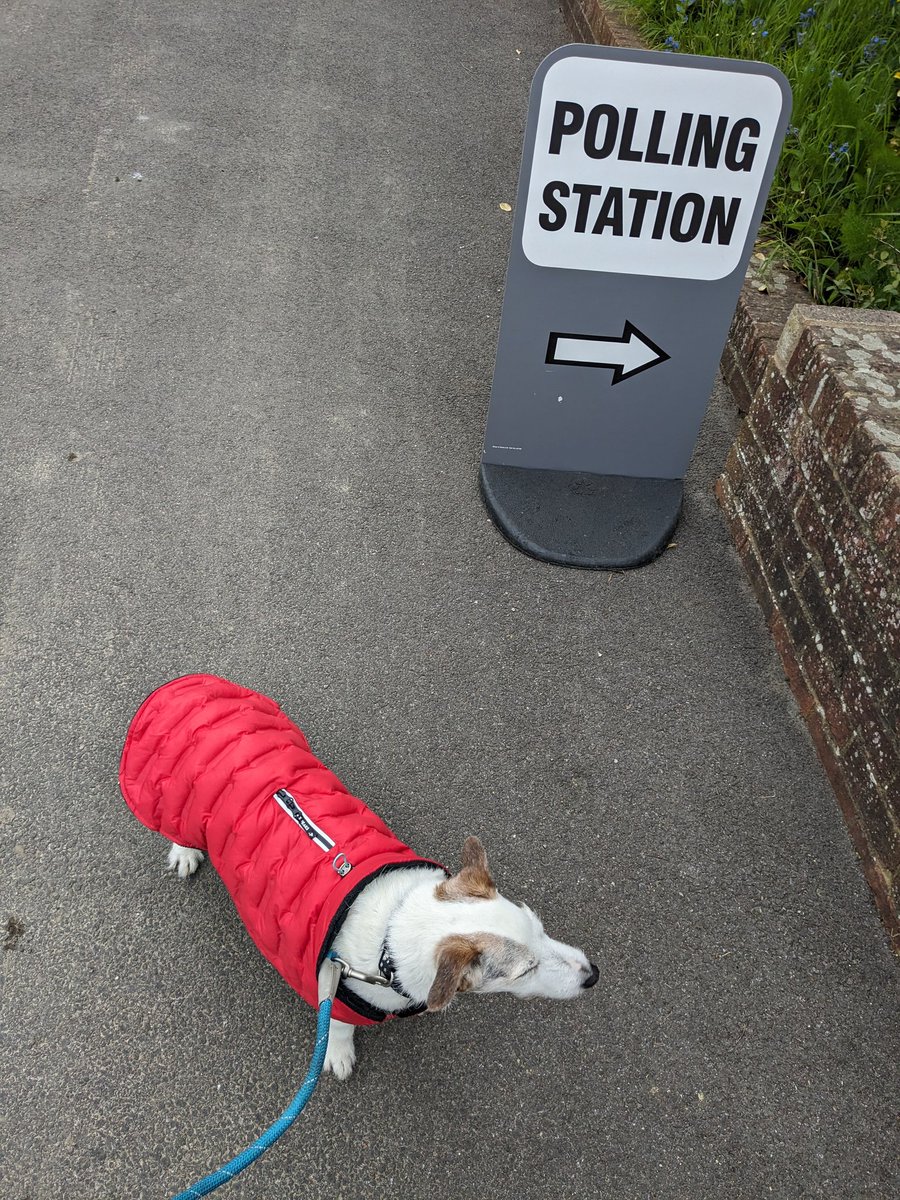 Snoopy wore his special jacket. #dogsatpollingstations