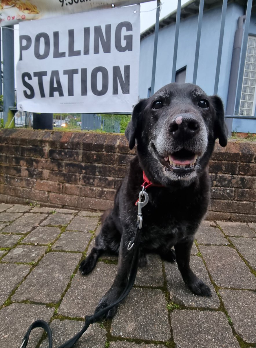 Half hour left to vote! #dogsatpollingstations