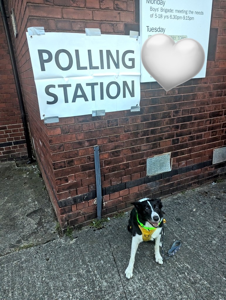 Podraig told the tories to go fuck themselves 😇 he's such a good boy. #dogsatpollingstations