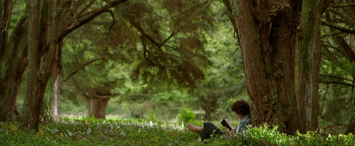 the fellowship of the ring is such a beautiful beautiful film