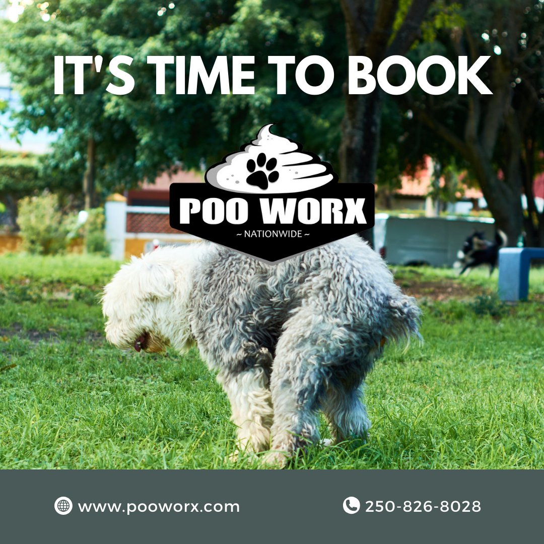 Time to book Poo Worx for a hassle-free spring cleanup! From one-time refreshes to weekly services, we've got your yard covered for a season of happiness. 🐾 

Call/text 250-826-8028 or visit pooworx.com 🐾

#Pooworx #Pooperscooper #Dogpoopickup #SpringCleanup