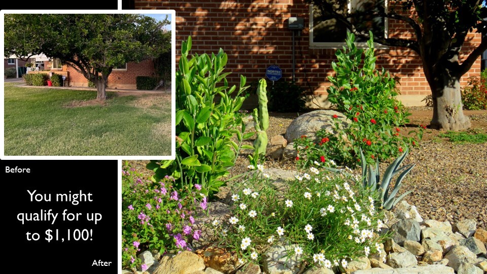 Your plants need extra TLC to transition from spring to summer temps. Learn more in the May Landscape Watering Reminder. Plus, incentives for future grass-to-Xeriscape projects, landscape videos with @AZPlantLady and tips on getting your pool summer-ready. my.mesaaz.gov/3WoHJjB