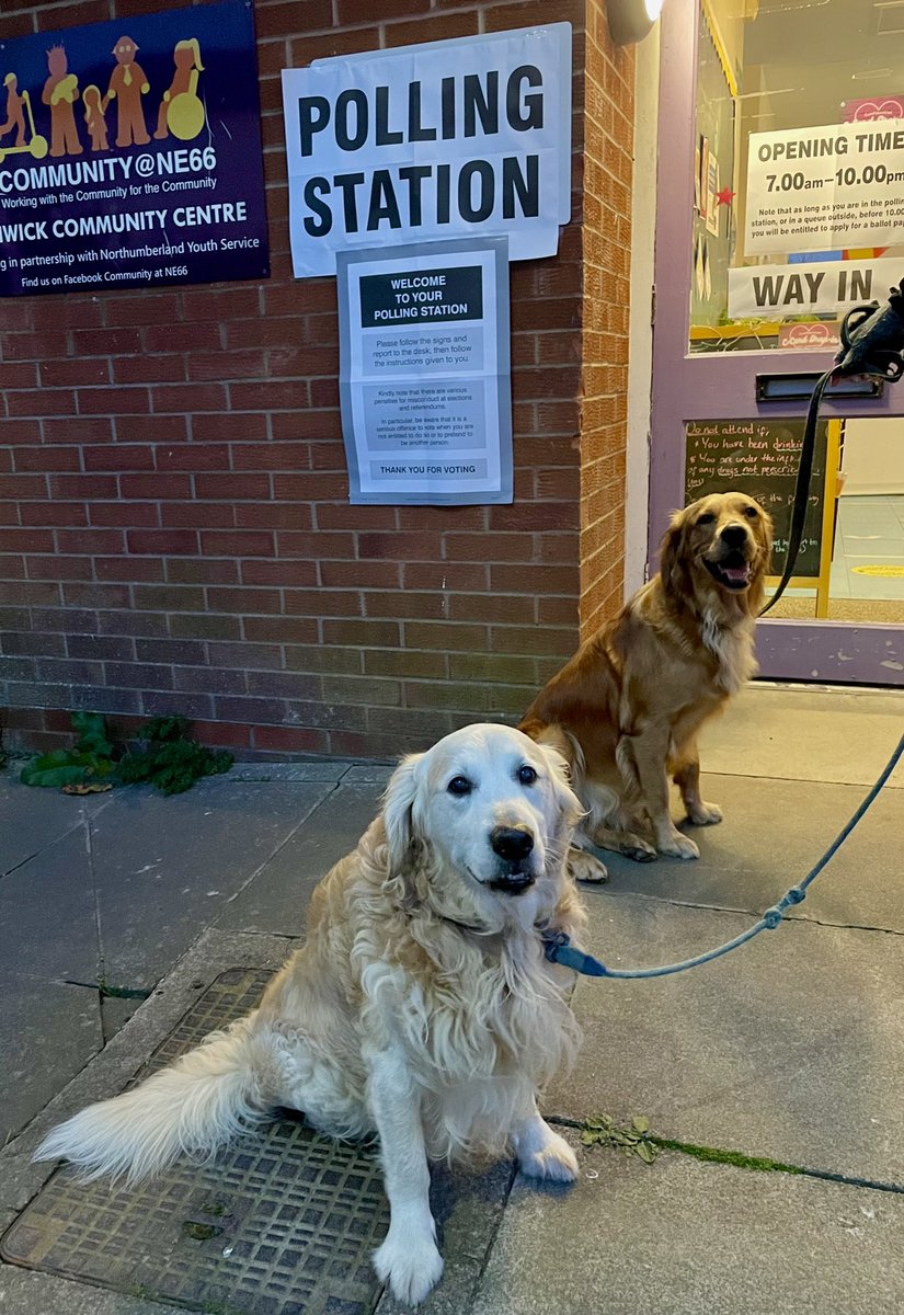 Rosie and Sam enjoyed a bonus evening stroll and we all agreed we’d like to do it again really soon, how about it @RishiSunak? #DogsAtPollingStations #GeneralElectionNow