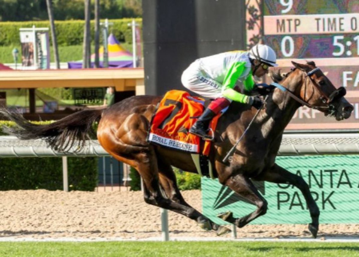 🏆 UNCORKED 🇦🇺 
(Lanfranco Dettori - Phil D’Amato) ROYAL HEROINE STAKES 2024 ($100,000) Santa Anita Park @santaanitapark @FrankieDettori  @PhilDamato11 @elkstonegroup @aus_turf_club @SAPublicity @ronaldt54 
📷 @santaanitapark