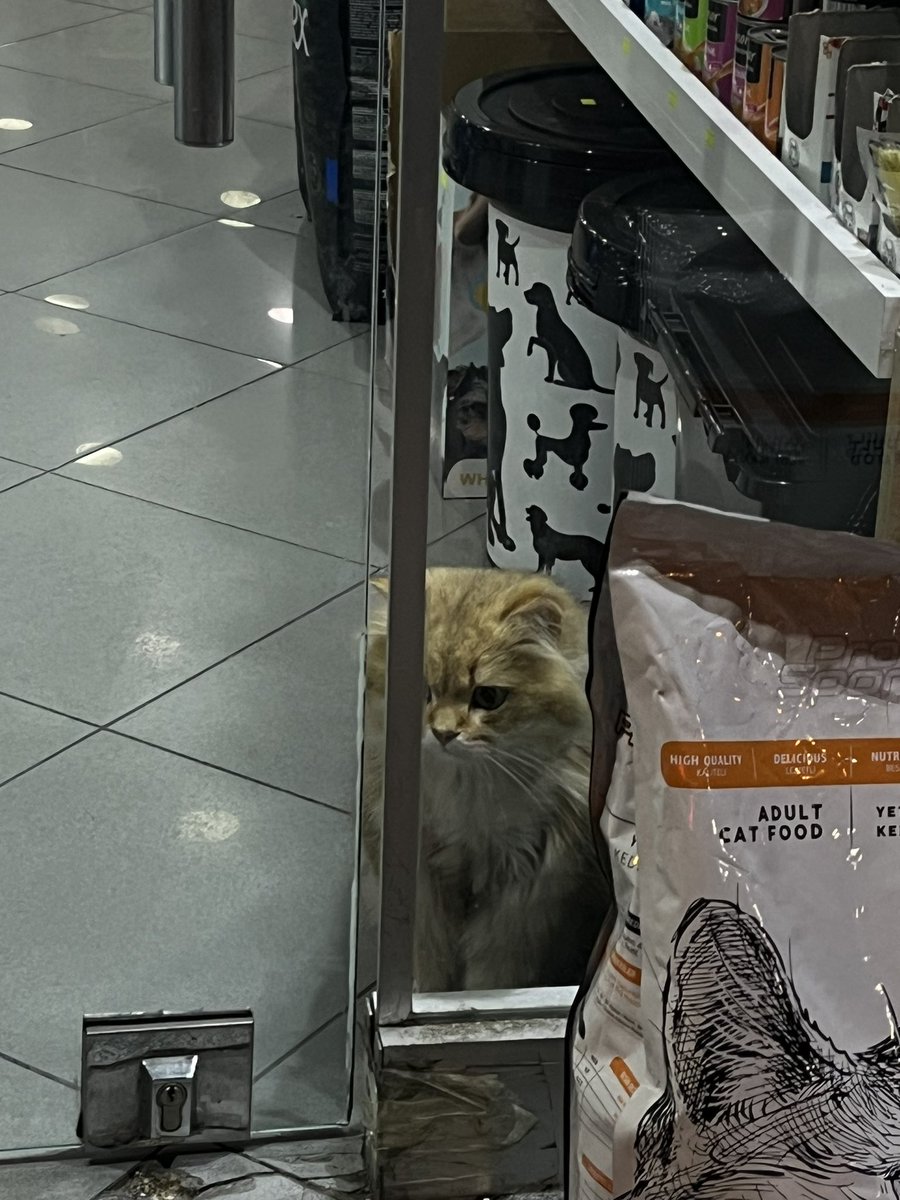 Tam anlamıyla gün sonu ben