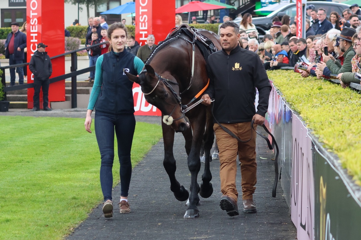 BTO's from Day 3 of the #PunchestownFestival Part 1 of 2. Races 1-4: R1 Ballycallan King, @BJF_Racing; R2 Enniskerry, Barry Connell; R3 Blast Of Koeman, @pmaherracing; R4 Mount Frisco, John Patrick Ryan