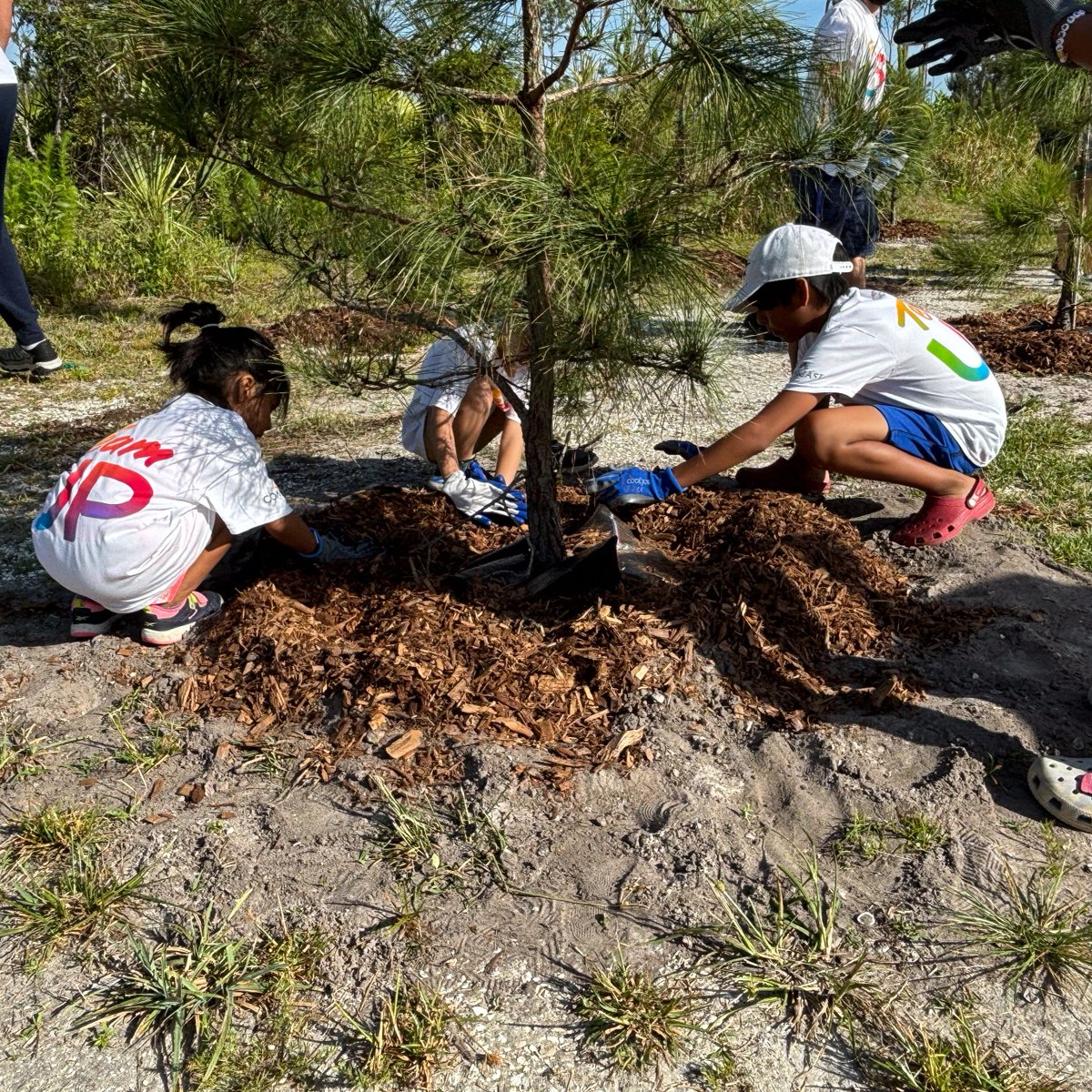 🌳 This past Saturday, we planted 100+ trees at Joe Coviello Park for Arbor Day! Huge thanks to volunteers and sponsors @lcecswfl, @kabtweet, @keepleecountybeautiful, & @ComcastFL. Your hard work and generosity make a difference! 🌿 #ArborDay #CapeCoral 🌳