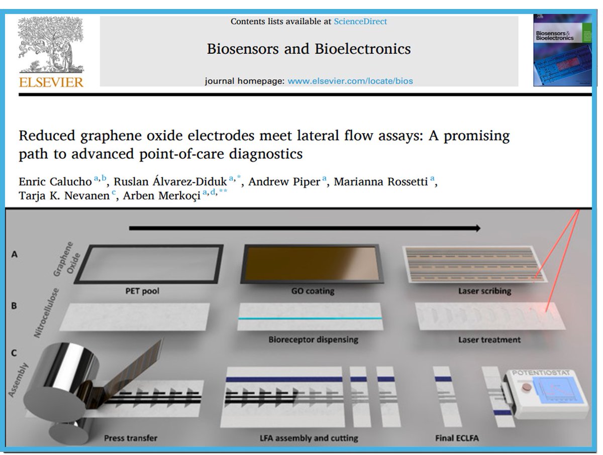 🔊 New article by our group in collaboration with VTT Finland just published online at Biosensors and Bioelectronics. 
Read: doi.org/10.1016/j.bios… 
Congrats to all the authors,  particularly to Enric and Ruslan for the great contributions.👏 
@merkoci_group @icn2nano