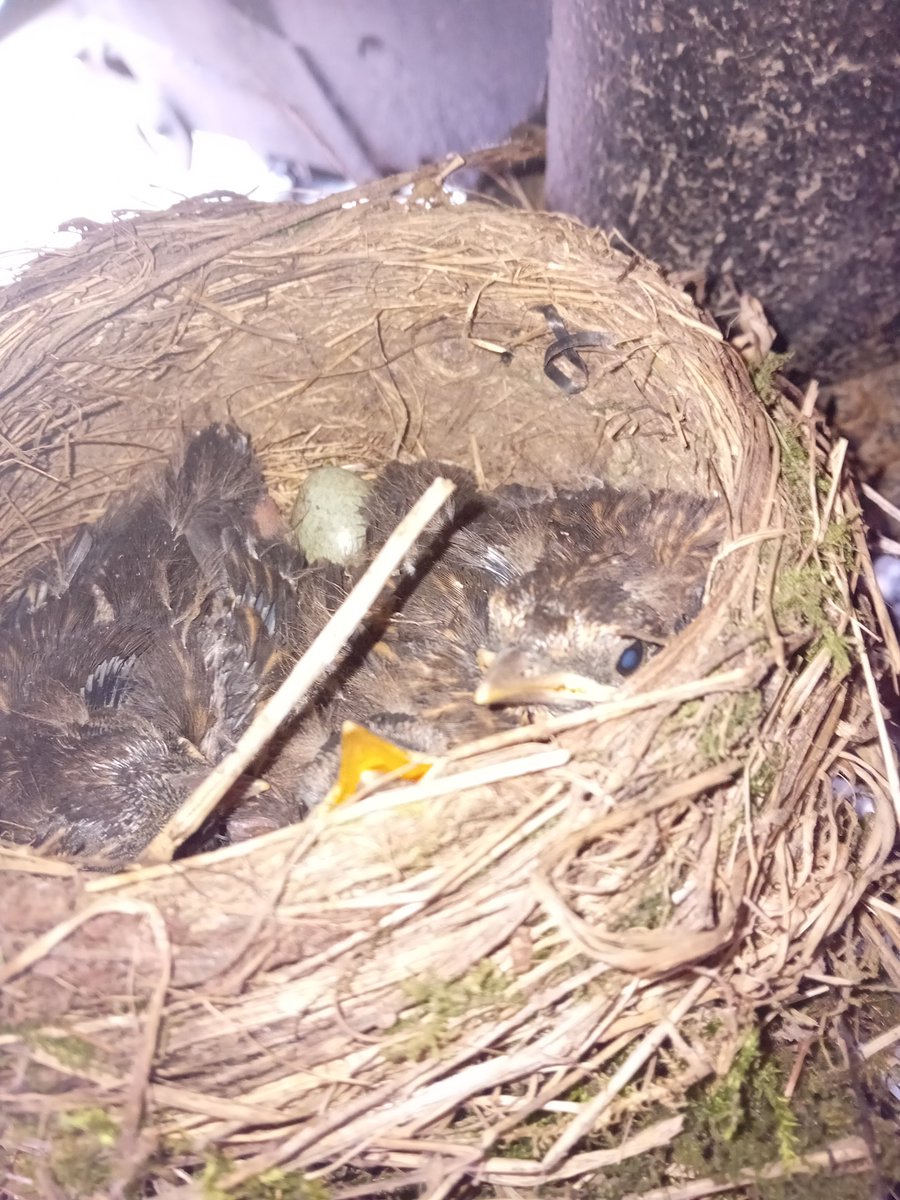 jon watson 🇬🇧❤🇺🇦 (@myblue90) on Twitter photo 