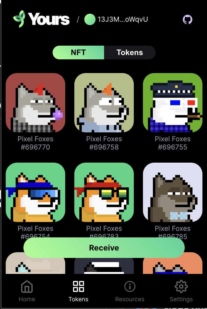If you want a pixel fox, send me the address when you click the tokens tab. 

The yours wallet has one address for funding on the home page and another in the tokens tab for your ordinals.