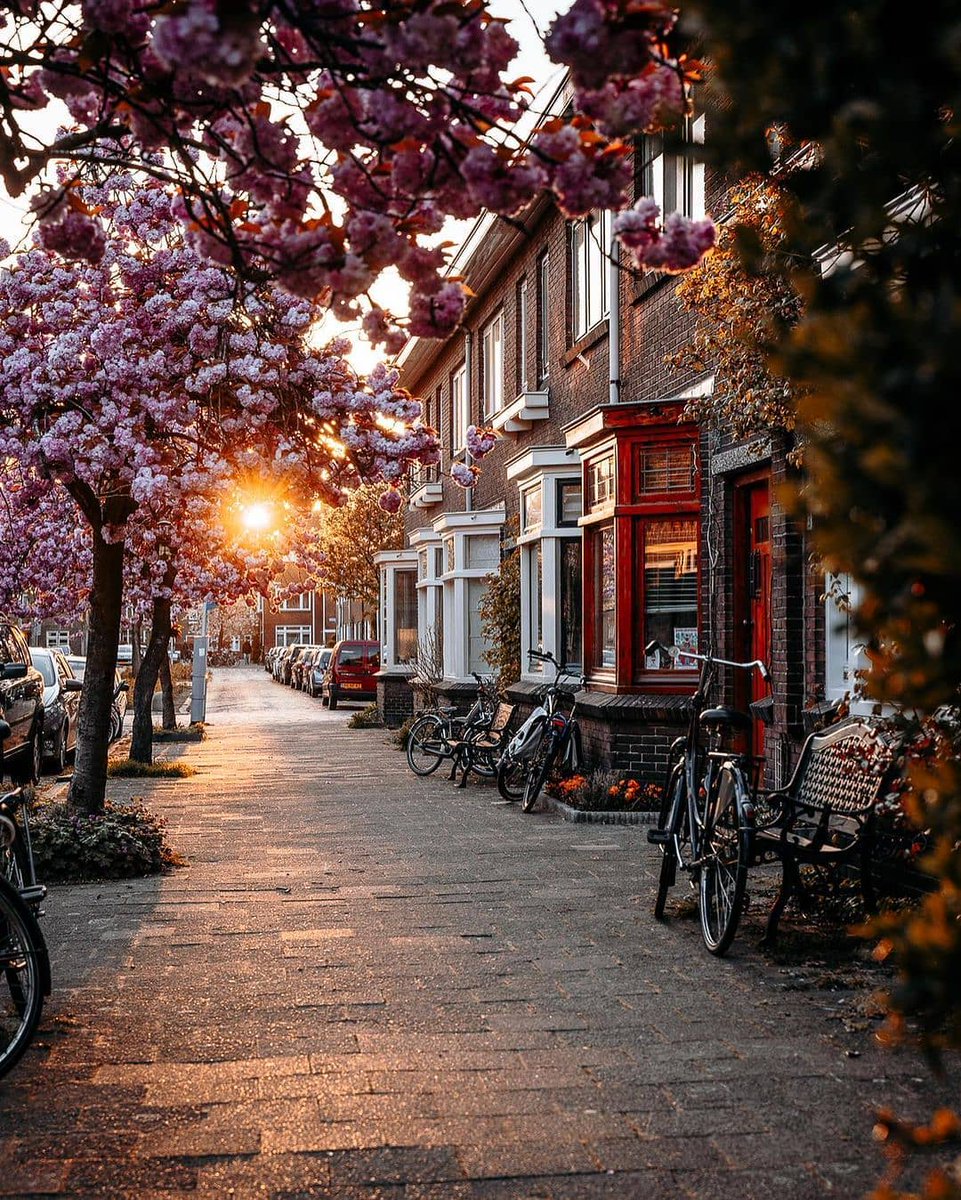 Utrecht, Netherlands 🇳🇱
