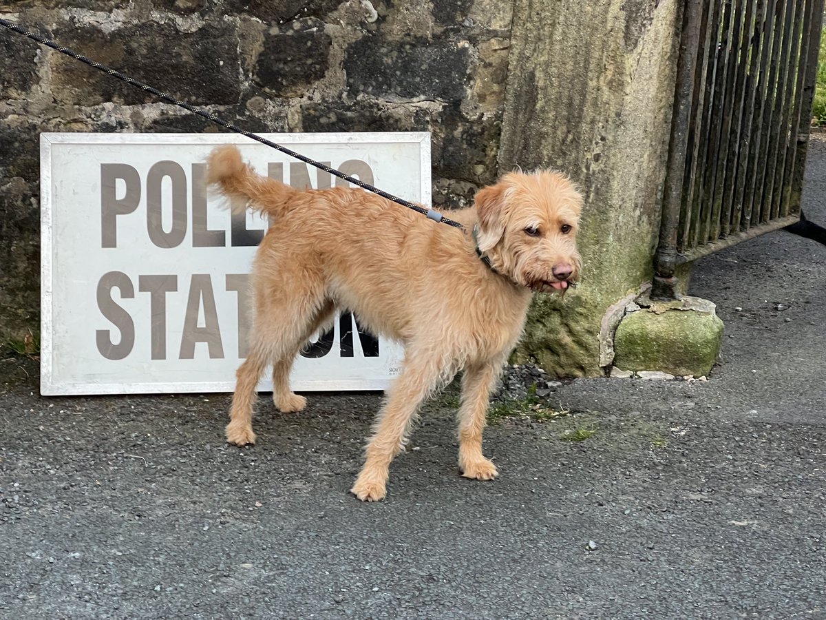 #dogsatpollingstations Barney Rubble ready to cast his vote