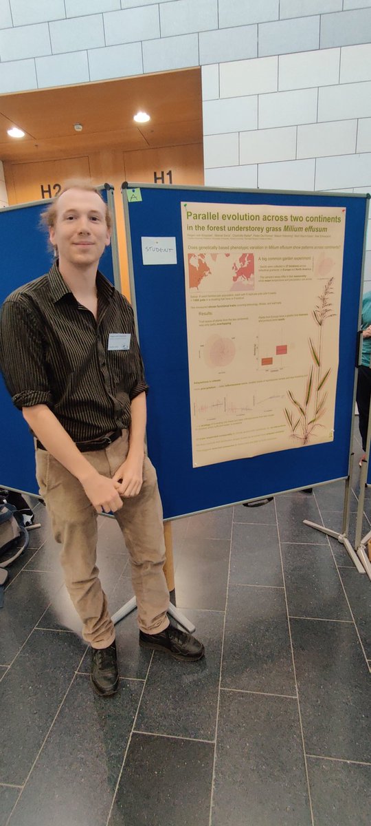 ac_moeller's tweet photo. Master student Hagen also showed some great results from our cross-continental common garden with Milium effusum in the great poster session ๐ท๐พ #POPBIO2024 https://t.co/DNzyu45aIe