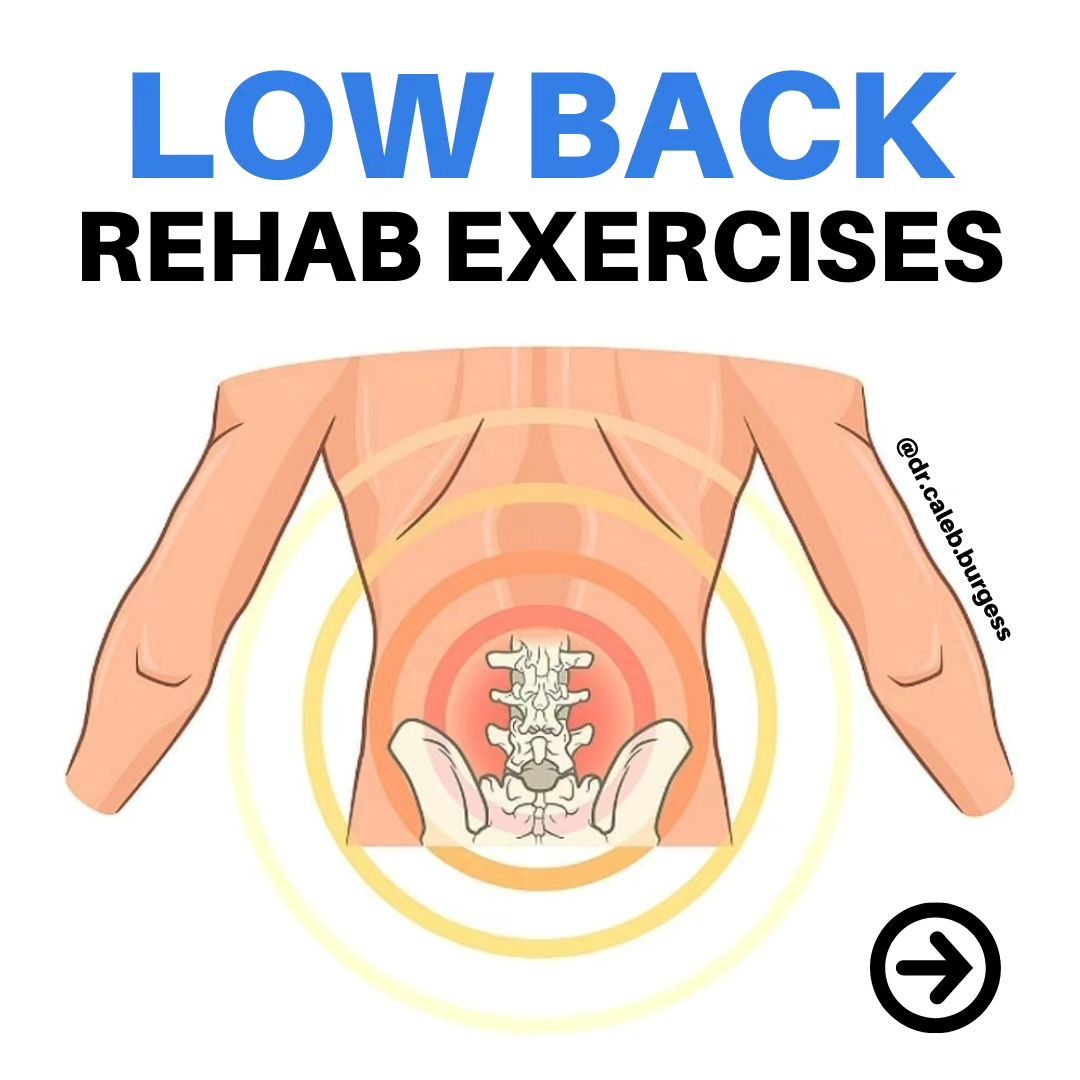 5 Exercises for those dealing with lower back pain Credit🎥 IG: theprehabguys 👇Check Thread Below👇
