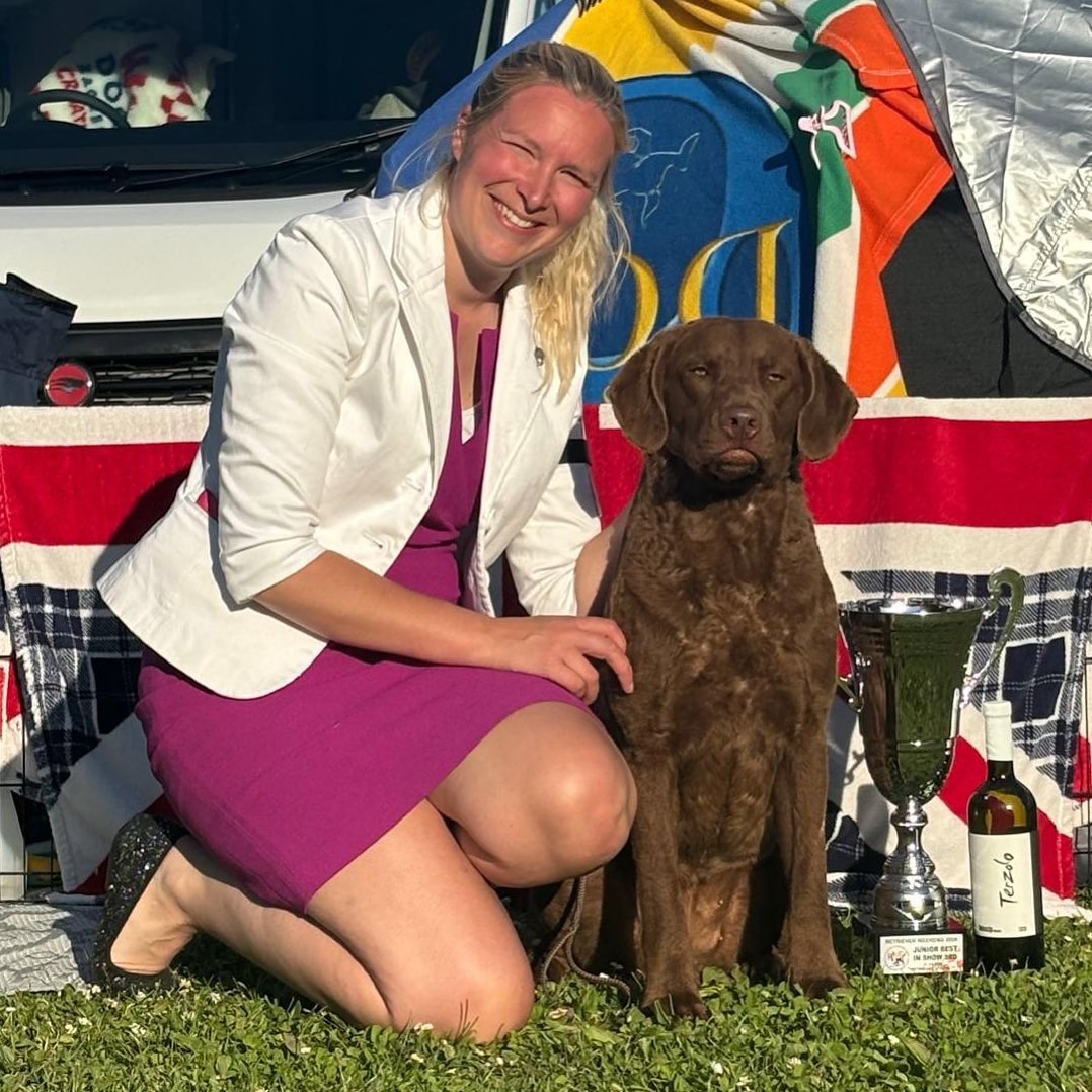 More congratulations are in order!

Although Jelli doesn’t like having her picture taken, she’s just had an amazing day.

She smashed it at the Croatia Retriever Speciality

1st junior bitch 
Best junior 
Best of breed 

Best Junior In Show 

Well done team Chessie!