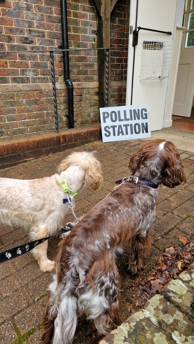 #DogsAtPollingStations
Waiting for our vote.