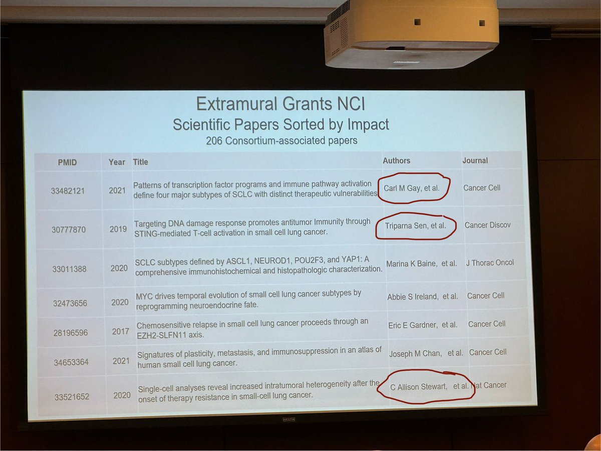 That feeling when the #1, #2, and #7 most impactful Small Cell Lung Cancer publications from @theNCI SCLC Consortium were led by your mentees  and Byers Lab Group Leader (out of 200+ publications). Congratulations to Drs. Carl Gay, @triparnasen, and Dr. Allison Stewart. #lcsm