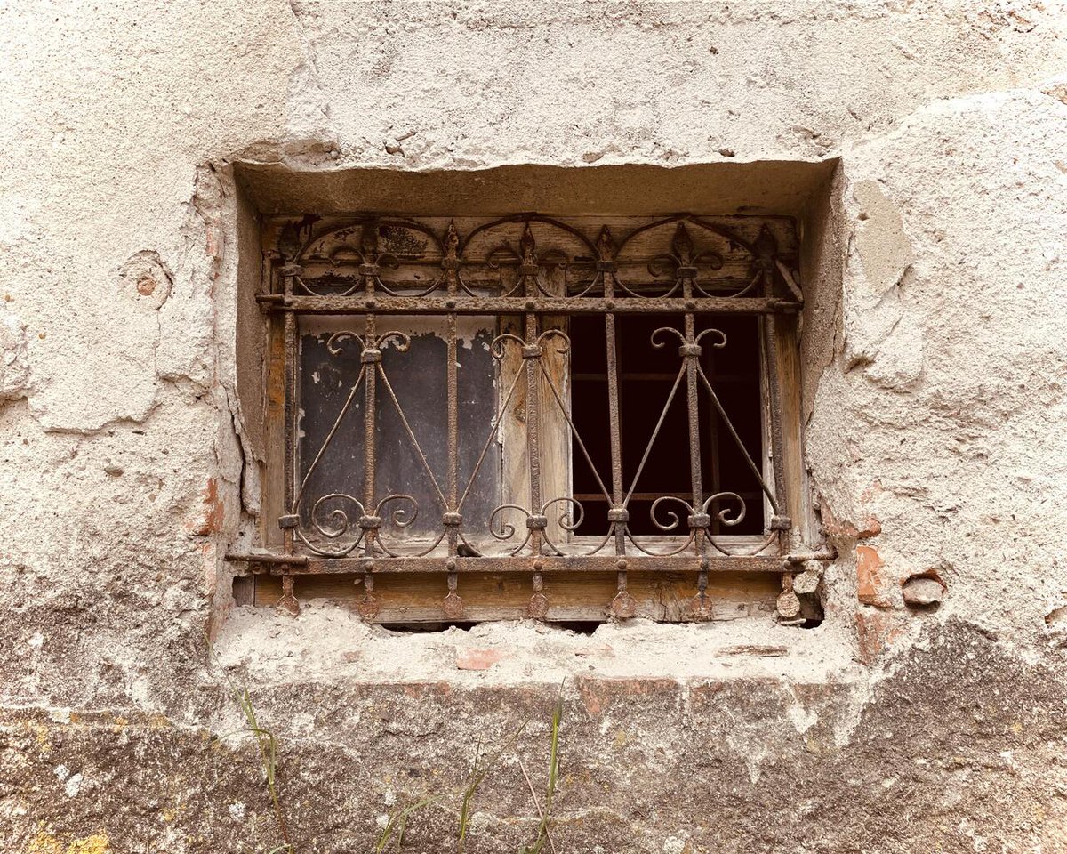 The basement window of the 1928 house. 
via /r/#AbandonedPorn 
(credit: by /u/AdvanceSorry262)